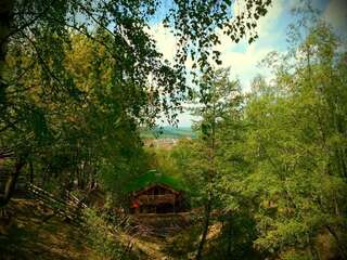 Курортные отели Club Vila Bran Бран Шале-2