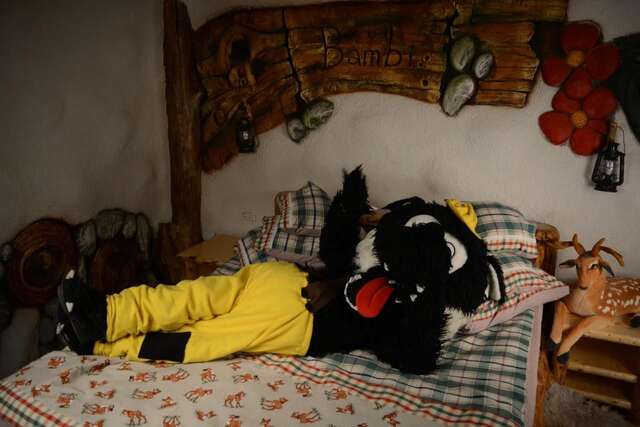 Курортные отели Club Vila Bran Бран-12